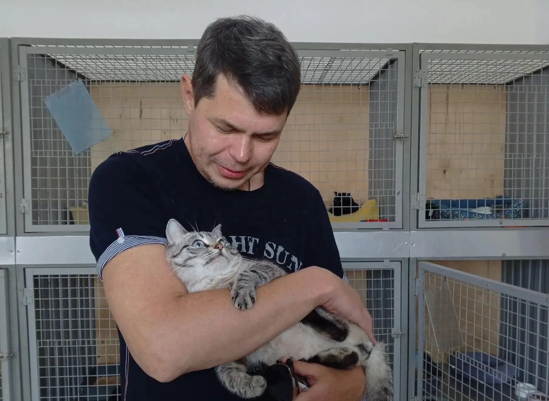 Кот знакомится с хозяином