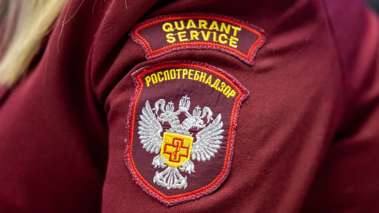 Роспотребнадзор назвал самые популярные вопросы ямальцев на горячей линии