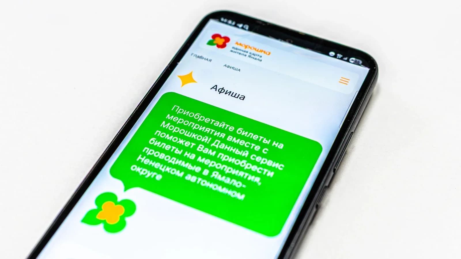 Жители Приуралья активно покупают билеты на концерты и выставки через «Морошку»