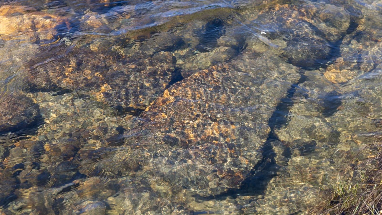 Жителей Приуралья приглашают обсудить будущее турбазы «Харбейский»