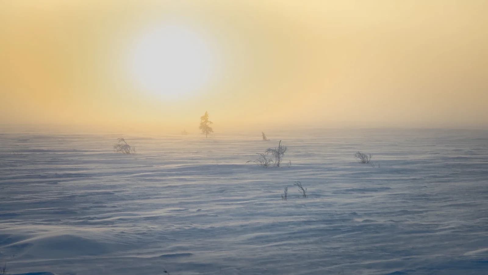 На неделе в Приуральском районе синоптики прогнозируют похолодание