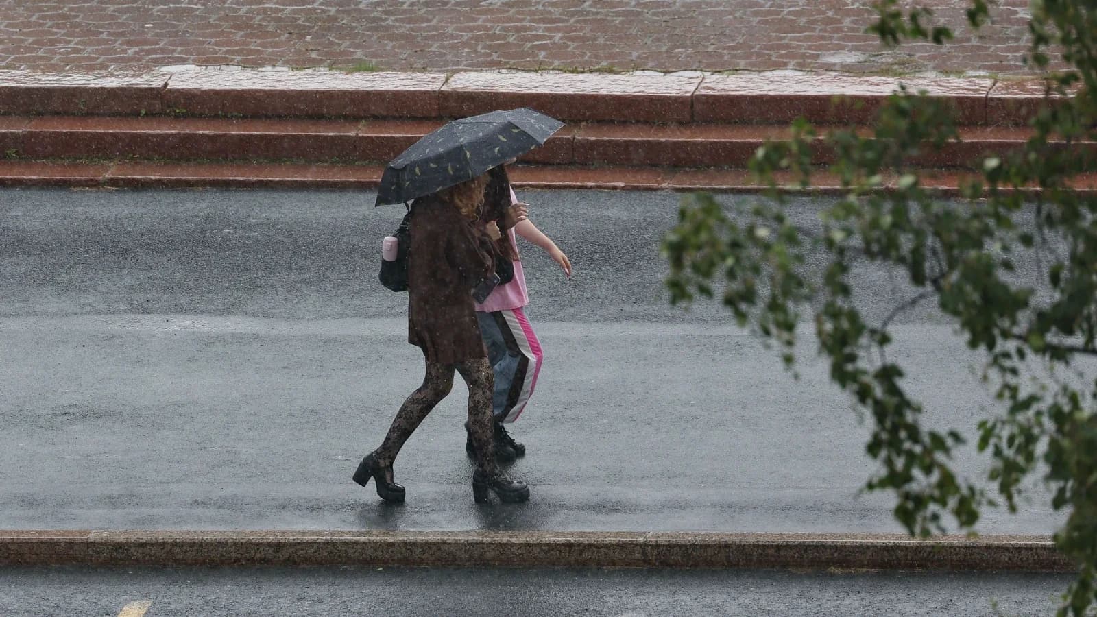 Метеорологи прогнозируют теплое и дождливое лето в ЯНАО