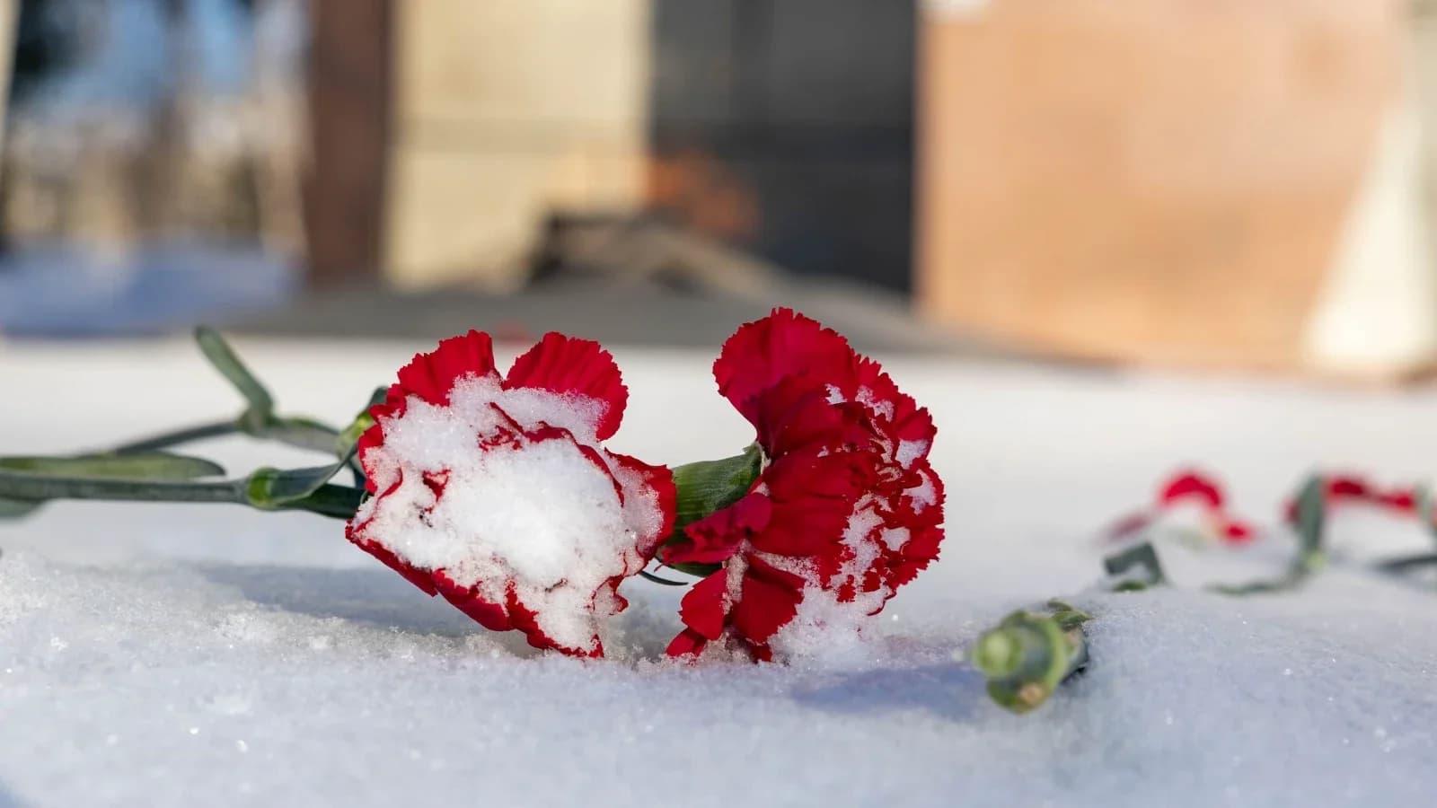 В Приуралье простились с земляками погибшими в зоне СВО