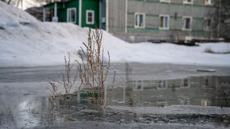 Дождь со снегом и гололедица: какой будет погода в Приуралье с 1 по 3 мая