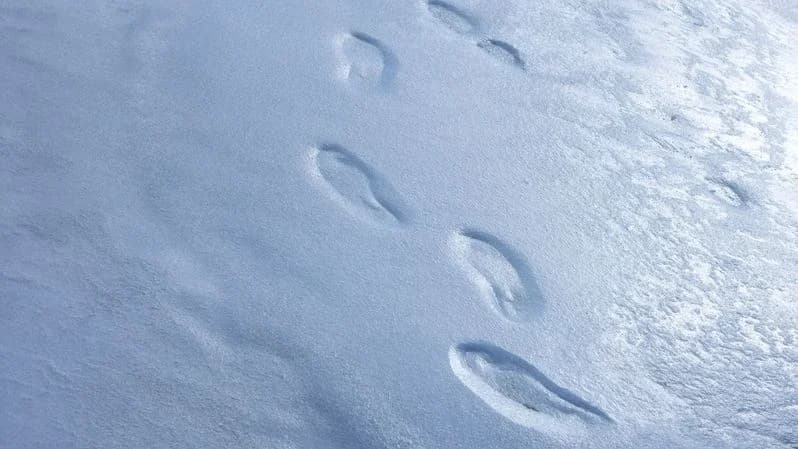 Власти Приуралья напомнили о запрете выхода на лед в районе переправы Лабытнанги – Салехард