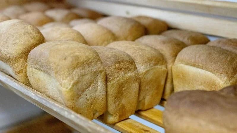 Хлеб по-катравожски: выпечку запустили на базе школы