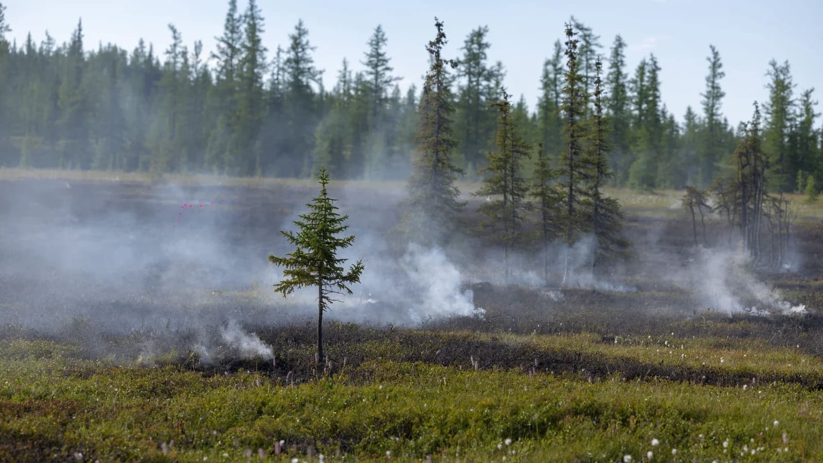 В Приуралье бьют тревогу из-за пожара у заказника