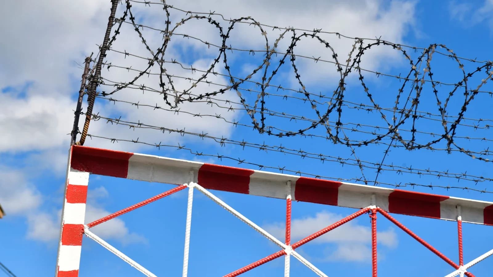 Осужденные впервые сдали ГТО в колониях Харпа и Лабытнанги